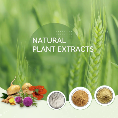 Natural Herb Extract